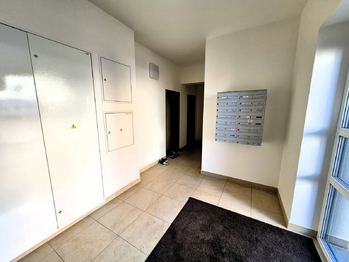 Pronájem bytu 1+kk v osobním vlastnictví 41 m², Bakov nad Jizerou