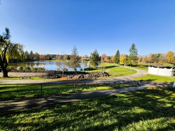 Pronájem bytu 1+kk v osobním vlastnictví 41 m², Bakov nad Jizerou