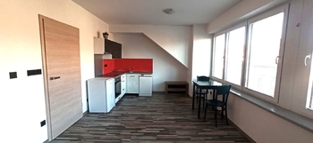 Pronájem bytu 1+kk v osobním vlastnictví 40 m², České Budějovice