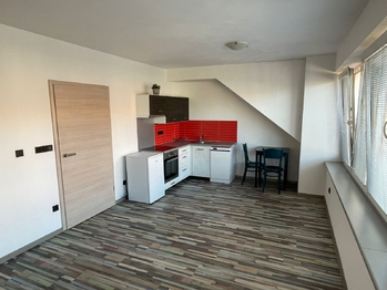 Pronájem bytu 1+kk v osobním vlastnictví 40 m², České Budějovice