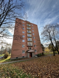 Pronájem bytu 3+1 v družstevním vlastnictví 70 m², Havířov