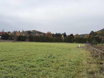 Prodej pozemku 4413 m², Rejštejn