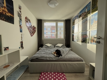 Pronájem bytu 2+kk v osobním vlastnictví 45 m², Jince