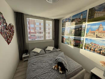 Pronájem bytu 2+kk v osobním vlastnictví 45 m², Jince