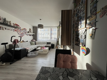 Pronájem bytu 2+kk v osobním vlastnictví 45 m², Jince