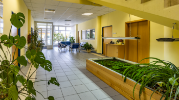 Prodej kancelářských prostor 826 m², Česká Lípa