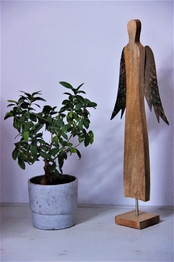 Prodej chaty / chalupy 100 m², Libošovice