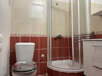 Prodej bytu 1+1 v osobním vlastnictví 31 m², Kladno