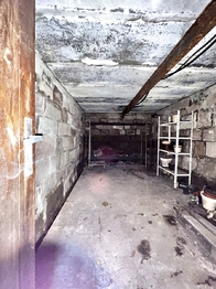 Prodej domu 300 m², Dolní Branná