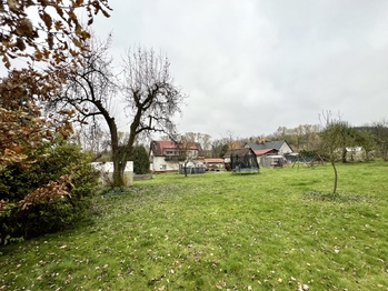 Prodej domu 300 m², Dolní Branná