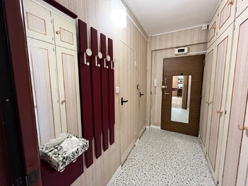 Pronájem bytu 1+1 v osobním vlastnictví 39 m², Mladá Boleslav