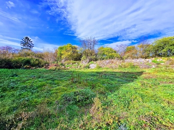 Prodej pozemku 2886 m², Libořice