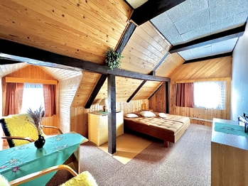 Prodej chaty / chalupy 250 m², Černý Důl