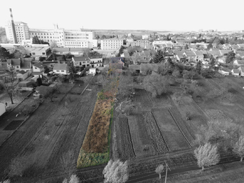 Pozemek Hrušovany u Brna - Prodej pozemku 1594 m², Hrušovany u Brna