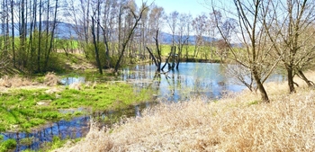 Prodej pozemku 8558 m², Bílý Kostel nad Nisou