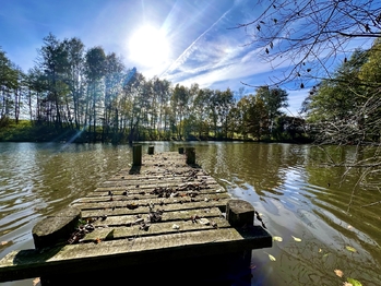 Prodej pozemku 8558 m², Bílý Kostel nad Nisou