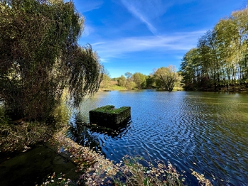 Prodej pozemku 8558 m², Bílý Kostel nad Nisou