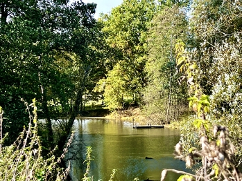 Prodej pozemku 8558 m², Bílý Kostel nad Nisou