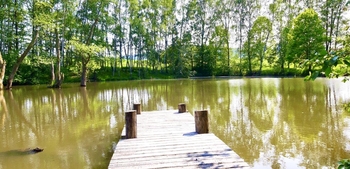 Prodej pozemku 24053 m², Bílý Kostel nad Nisou