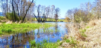 Prodej pozemku 24053 m², Bílý Kostel nad Nisou