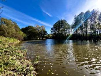 Prodej pozemku 24053 m², Bílý Kostel nad Nisou
