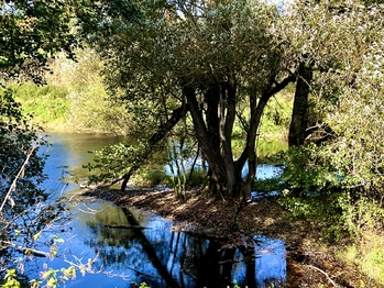 Prodej pozemku 24053 m², Bílý Kostel nad Nisou