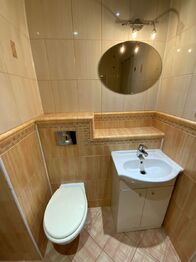 Pronájem bytu 1+kk v osobním vlastnictví 24 m², Chomutov