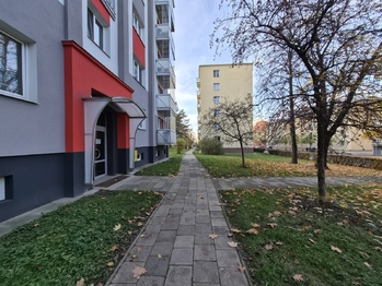 Pronájem bytu 3+1 v družstevním vlastnictví 74 m², Kopřivnice