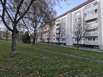 Pronájem bytu 3+1 v družstevním vlastnictví 74 m², Kopřivnice