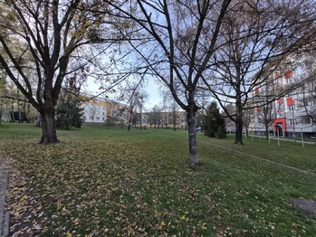 Pronájem bytu 3+1 v družstevním vlastnictví 74 m², Kopřivnice