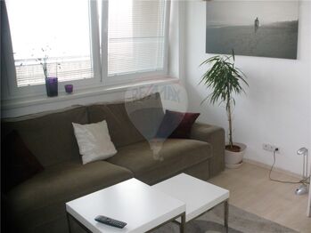 Pronájem bytu 1+kk v osobním vlastnictví 30 m², Pardubice