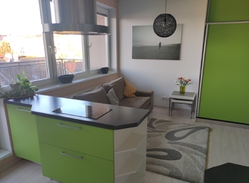 Pronájem bytu 1+kk v osobním vlastnictví 30 m², Pardubice