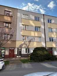 Pronájem bytu 2+kk v osobním vlastnictví 45 m², Pardubice