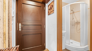 Pronájem bytu 1+kk v osobním vlastnictví 25 m², Praha 3 - Žižkov