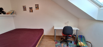 Pokoj  - Pronájem domu 106 m², Letonice