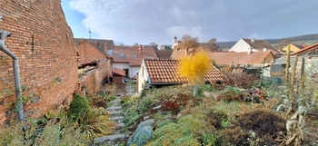 Pohled ze zahrady - Pronájem domu 106 m², Letonice