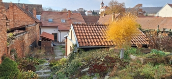 Pohled ze zahrady - Pronájem domu 106 m², Letonice