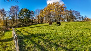 Prodej domu 707 m², Horní Habartice