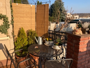 Prodej domu 204 m², Kyjov