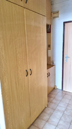 Pronájem bytu 1+kk v osobním vlastnictví 31 m², Veselí nad Lužnicí