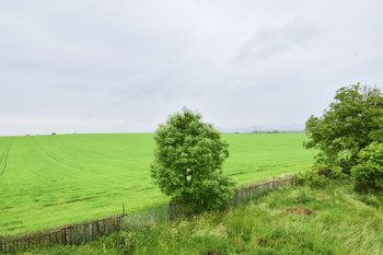 Prodej domu 328 m², Lipno