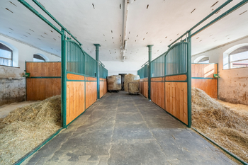 Prodej domu 750 m², Řehlovice