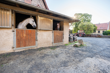 Prodej domu 750 m², Řehlovice