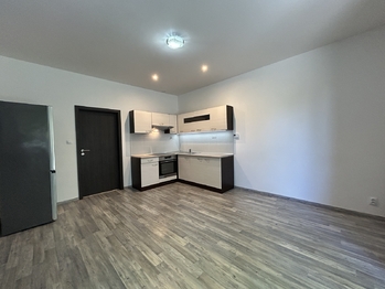 spodní pokoj s kuchyňským koutem - Pronájem bytu 2+kk v osobním vlastnictví 75 m², Milovice