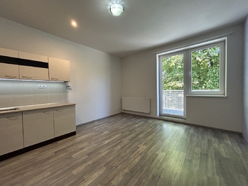 Pronájem bytu 2+kk v osobním vlastnictví 75 m², Milovice