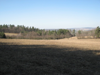 Prodej pozemku 4460 m², Střílky