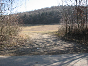 Prodej pozemku 4460 m², Střílky