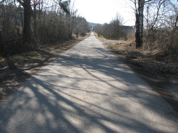 Prodej pozemku 4460 m², Střílky