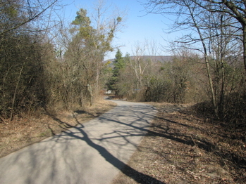 Prodej pozemku 4460 m², Střílky