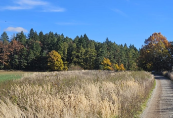 Prodej pozemku 404 m², Písek